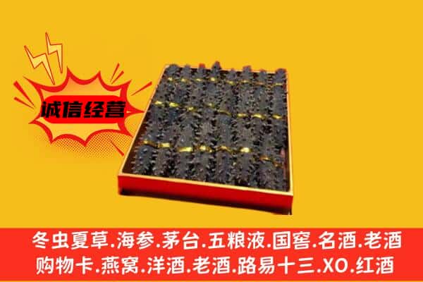 郁南县回收海参